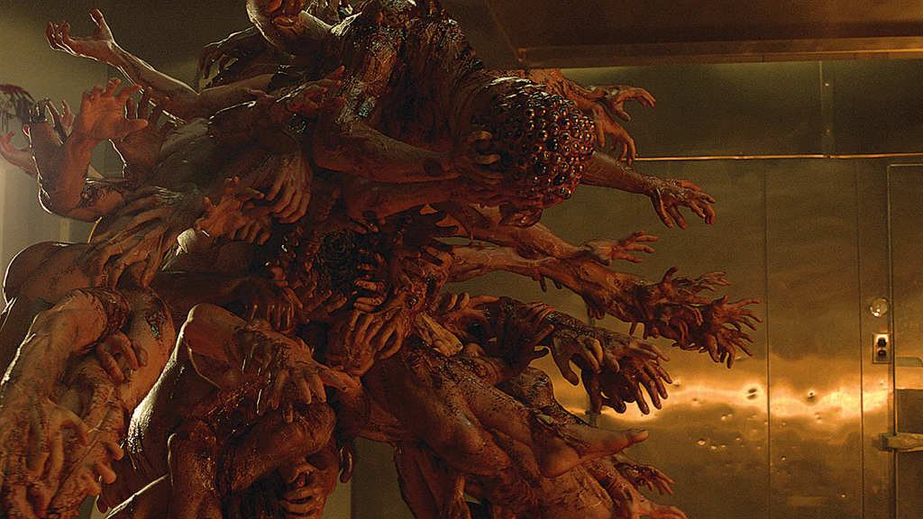 zygote oats studios