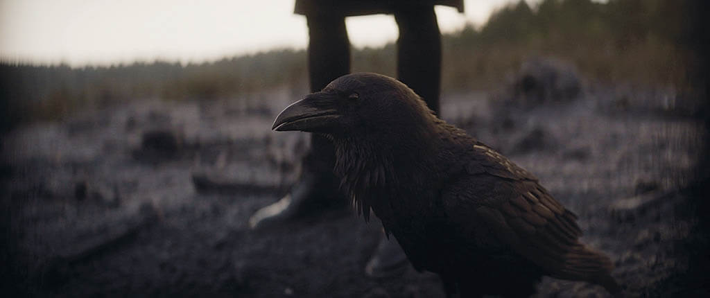 Matthew the Raven was a blend of real birds, animatronics and CG by Framestore.