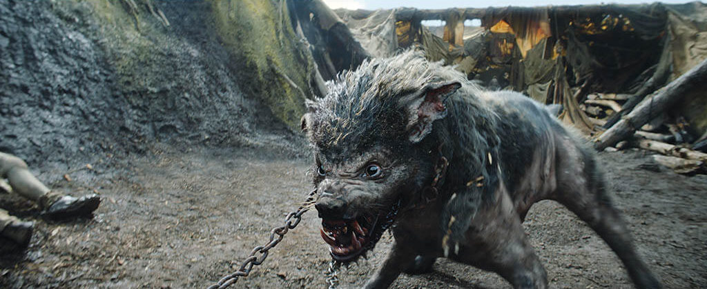 A virtual cloud-based infrastructure with all of the visual effects vendors was implemented utilizing Amazon Web Services.