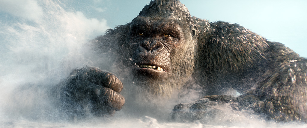 Although Kong is a gorilla, he’s not a regular gorilla. His skin is a lot lighter and a lot less shiny.