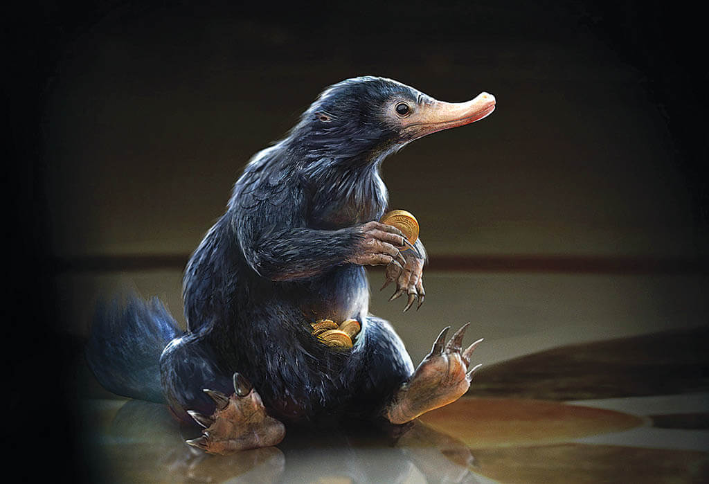 The character Niffler from Fantastic Beasts and Where to Find Them needed to appear realistic enough to fool Muggles. Senior Concept Artist Sam Rowan at Framestore worked from a sketch and previs model to achieve the desired shapes and feeling. (Image courtesy of Framestore and Warner Bros.)