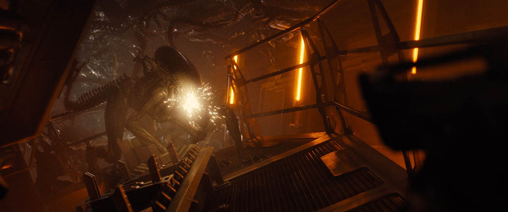 Wētā FX's Daniel Macarin and his team used Maya, Houdini and proprietary applications to create fluid, organic movements for the CG creatures, making sure they felt as alive as their practical counterparts.