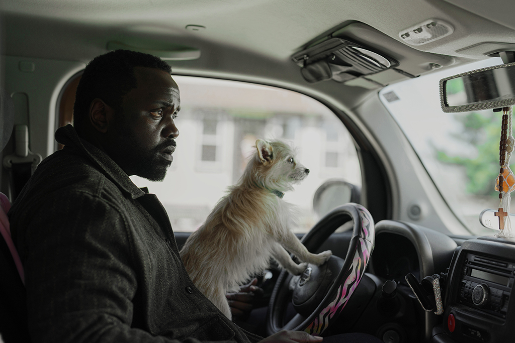 Causing some canine mayhem is the dog owned by Ray’s adoptive mother, which resulted in poop and pee being added in digitally. 