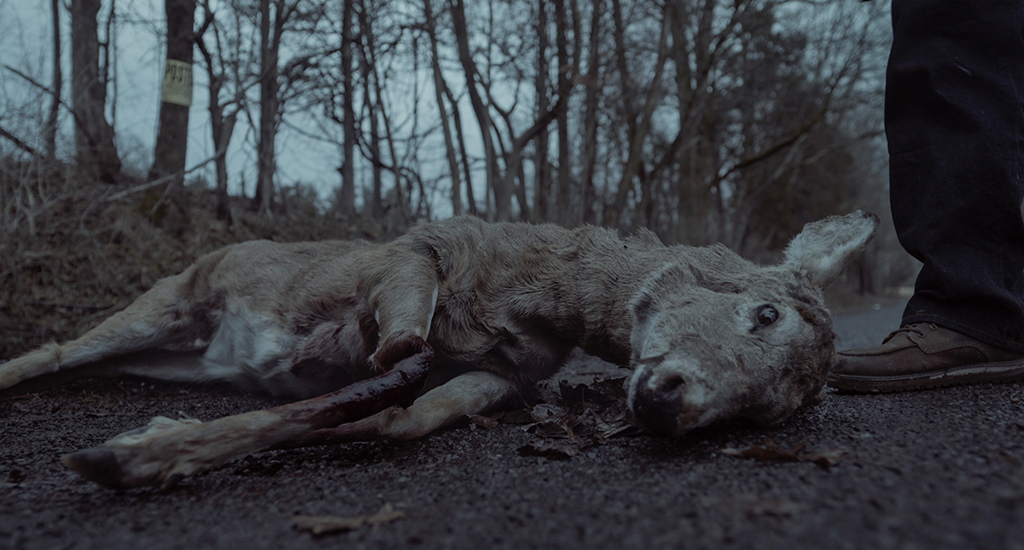 A deer that gets hit by the car began as a stuffie but did not have the proper weight needed, so it was replaced with a CG version. 
