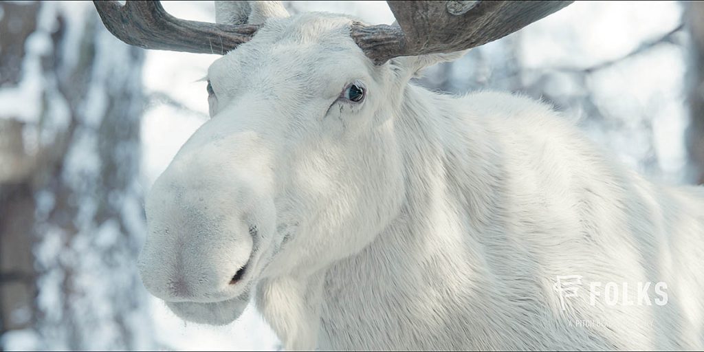 FOLKS’ creature design and animation department in Montreal was responsible for the majestic moose from Yellowjackets and many creatures over several seasons for The Umbrella Academy. (Image courtesy of FOLKS, Showtime and Paramount+)