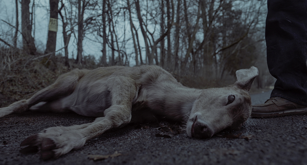 A deer that gets hit by the car began as a stuffie but did not have the proper weight needed, so it was replaced with a CG version. 