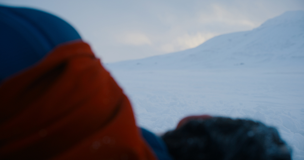 The behavior of Krypto was inspired by the wild antics of Uzo, a dog adopted by director James Gunn. 