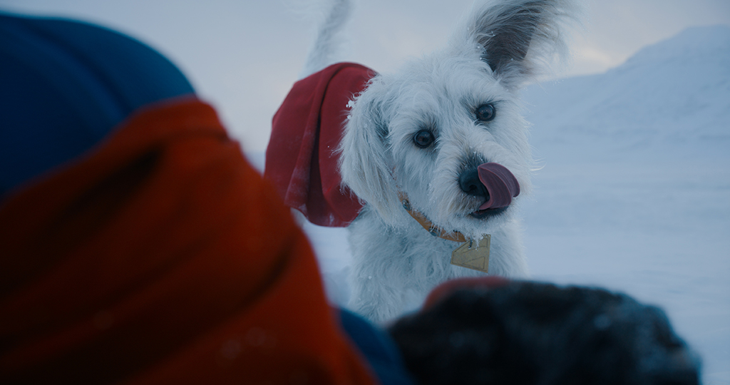 The behavior of Krypto was inspired by the wild antics of Uzo, a dog adopted by director James Gunn. 