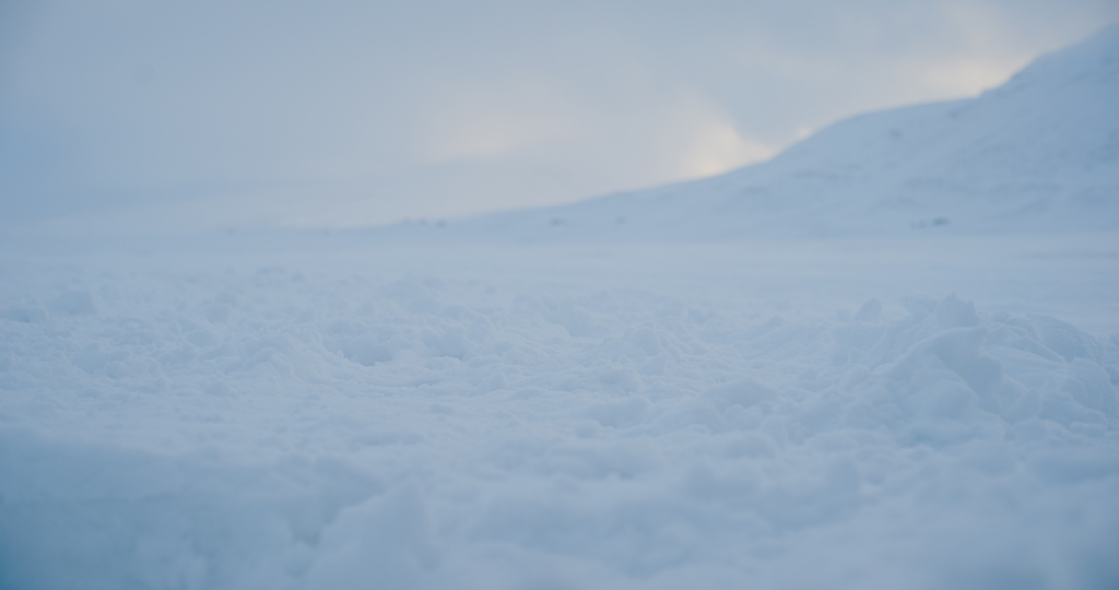 Time was spent getting the color correct for the white fur of Krypto, especially in a snowy environment of the Arctic.